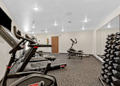 Thumbnail 44 of 44 - A gym with treadmills, exercise bikes, and dumbbells.