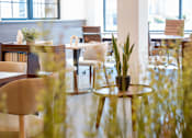 Thumbnail 14 of 50 - A restaurant with tables and chairs and a potted plant on the table.