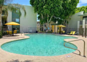 Thumbnail 12 of 22 - a resort style swimming pool with yellow chaise lounges and umbrellas