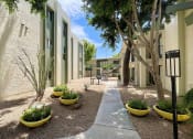 Thumbnail 21 of 22 - a courtyard with trees and plants in front of a building