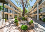Thumbnail 14 of 22 - a courtyard with a large tree in the middle of a building