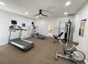 Thumbnail 20 of 22 - a home gym with exercise equipment and a ceiling fan