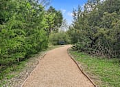 Thumbnail 43 of 72 - a dirt path with trees on both sides and a bench in the distance at Radius on Grove, Austin, 78741