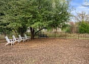 Thumbnail 39 of 72 - our apartments have a dog park with plenty of room to run and play at Radius on Grove, Austin