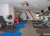 Thumbnail 9 of 16 - a gym with weights and cardio equipment and a wall with a geometric design