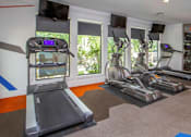 Thumbnail 5 of 16 - Luxury Gym, Melia Apartment Homes, San Antonio Texas