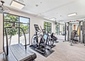 Thumbnail 10 of 29 - A gym with treadmills, weights, and exercise equipment.