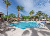 Thumbnail 1 of 11 - A pool surrounded by palm trees and lounge chairs.