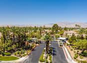 Thumbnail 2 of 11 - A residential street with houses and palm trees.