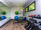 Thumbnail 18 of 20 - A gym room with a mirror, exercise balls, dumbbells, and a bench.