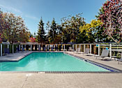 Thumbnail 10 of 20 - A large outdoor swimming pool surrounded by trees and lounge chairs.