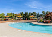 Thumbnail 38 of 46 - A large outdoor swimming pool surrounded by trees and sun loungers at Island Club Apartments, Columbus, OH