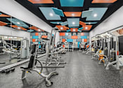 Thumbnail 17 of 24 - A gym with a variety of equipment including weights and machines.