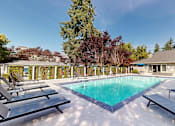 Thumbnail 9 of 20 - A swimming pool surrounded by lounge chairs and trees.