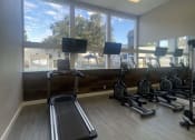 Thumbnail 11 of 17 - the gym has a lot of exercise equipment and windows at Whispering Oaks, Conroe, 77301 ? 