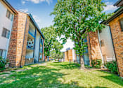 Thumbnail 36 of 42 - A tree in a grassy area in front of apartment buildings at Water Ridge Apartments , Texas