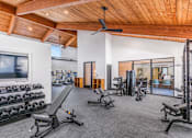 Thumbnail 12 of 42 - A spacious home gym with a variety of equipment including dumbbells, weight machines, and a bench press at Water Ridge Apartments , Irving, TX