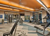 Thumbnail 13 of 22 - a gym with weights and a sign that says the gym is filled with weights at The Grand at Stonecreek, San Marcos, TX, 78666