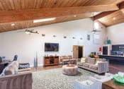 Thumbnail 37 of 55 - a living room with couches and chairs and a television at Water Ridge Apartments, Texas, 75061