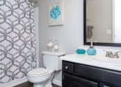 Thumbnail 8 of 55 - a bathroom with a toilet sink and a mirror at Water Ridge Apartments, Texas