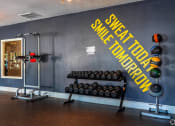 Thumbnail 25 of 55 - a gym with weights and a wall with a sign that says sweet spot on it at Water Ridge Apartments, Irving, TX 75061