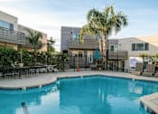 Thumbnail 13 of 13 - the swimming pool at the apartments for rent