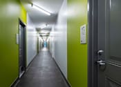 Thumbnail 15 of 15 - Hallway Lobby at Apex Apartments, Arlington