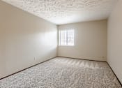 Thumbnail 21 of 29 - A room with a carpeted floor and a window letting in light. Omaha, NE Stony Brook Apartments