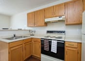 Thumbnail 4 of 7 - Ashbury Apartments | Efficiency | Kitchen