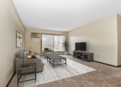 Thumbnail 5 of 10 - Coon Rapids, MN Parkview Estates Apartments | Furnished Living Room
