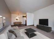 Thumbnail 6 of 41 - Carlton Place Apartments in Fargo, ND | Living Room With TV