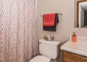 Thumbnail 9 of 20 - Grand Forks, ND Library Lane Apartments a bathroom with a white sink and toilet next to a shower with a red and gray che