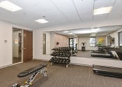 Thumbnail 22 of 32 - Montreal Courts Apartments in Little Canada, MN | Fitness Room