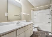 Thumbnail 12 of 29 - Omaha, NE Stony Brook Townhomes. A bathroom with a sink toilet and shower