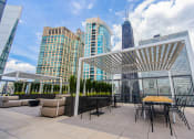 Thumbnail 29 of 30 - Gorgeous Large Outdoor Landscapes at 21 E Chestnut, Chicago, Illinois, 60611