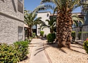 Thumbnail 20 of 23 - a walkway with palm trees in front of a building