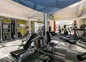 Thumbnail 24 of 35 - a gym with weights and cardio equipment on the floor and a window