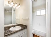 Thumbnail 30 of 31 - a bathroom with a sink and a mirror and a toilet