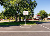 Thumbnail 26 of 39 - a basketball court in a park with trees