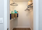 Thumbnail 24 of 42 - Tampa Apartments with Balcony at Arbour Ponds Aspen bedroom closet2x2 950 sq ft