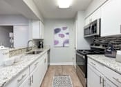 Thumbnail 3 of 42 - Arbour Ponds apartments in Tampa sequoia floor plan kitchen profile 1x1 750 sq ft