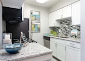 Thumbnail 13 of 42 - Tampa Pet Friendly Apartments at Arbour Ponds Aspen kitchen 2x2 950 sq ft