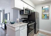 Thumbnail 14 of 42 - Tampa Pet Friendly Apartments at Arbour Ponds Aspen kitchen angle 2x2 950 sq ft