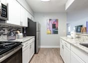 Thumbnail 4 of 42 - Arbour Ponds apartments in Tampa sequoia floor plan kitchen angle 1x1 750 sq ft