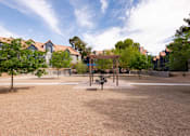 Thumbnail 59 of 87 - a park with a playground and trees with houses in the background
