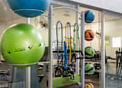 Thumbnail 43 of 87 - a gym with weights and cardio equipment on a rack