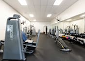 Thumbnail 46 of 87 - a gym with cardio equipment and weights on the floor