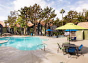 Thumbnail 55 of 87 - our resort style swimming pool is clean and ready for guests to enjoy