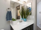Thumbnail 24 of 54 - a bathroom with a sink and a mirror and a potted plant