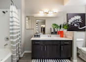 Thumbnail 18 of 54 - spacious bathroom the heights apartments